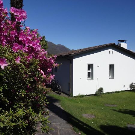 Minusio Residenza Paradiso Di Vacanze מראה חיצוני תמונה