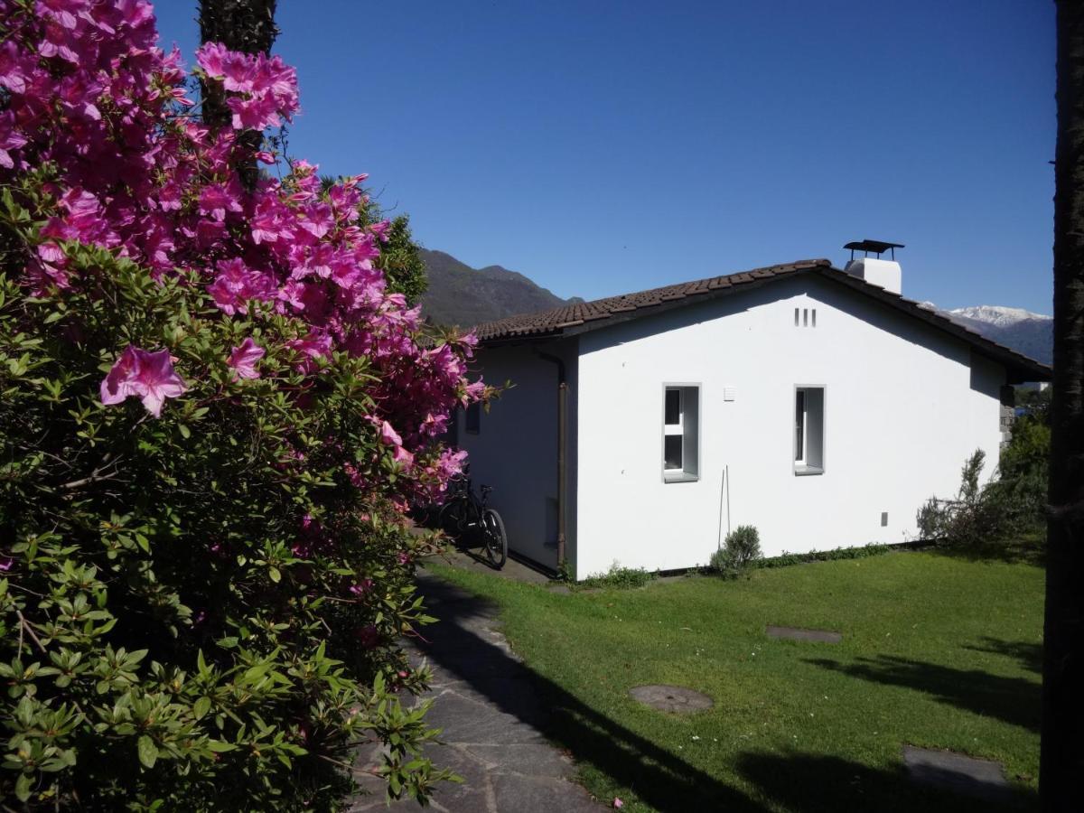 Minusio Residenza Paradiso Di Vacanze מראה חיצוני תמונה