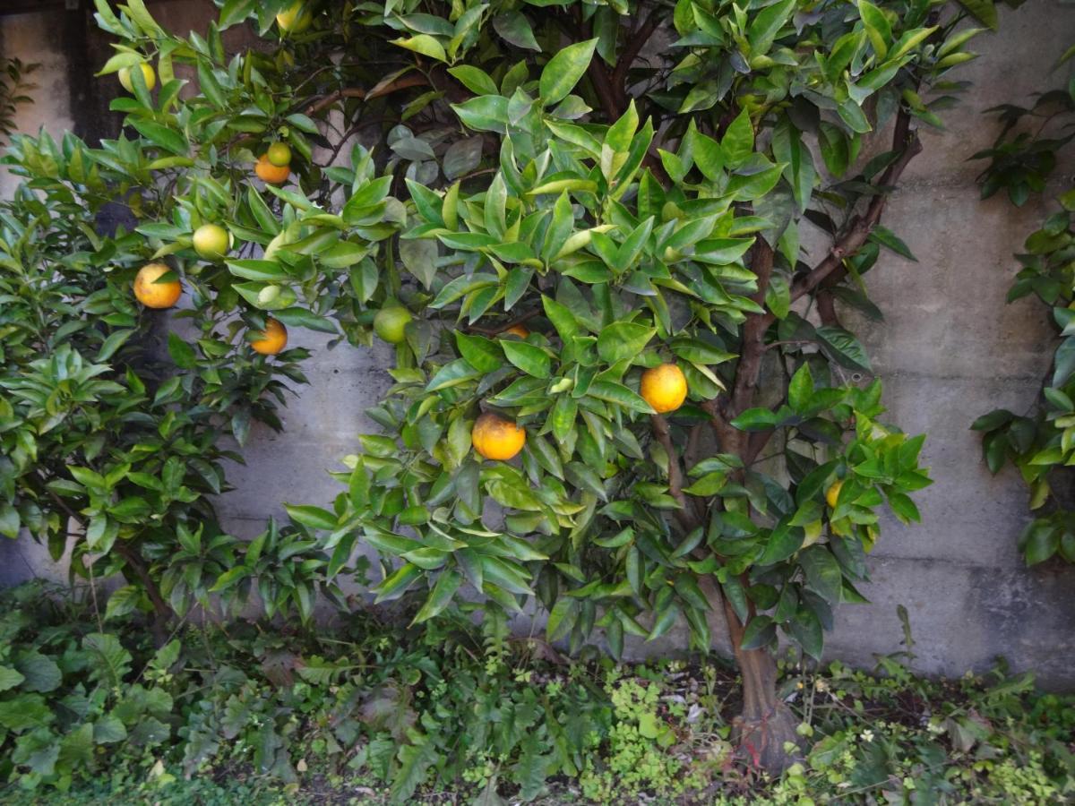 Minusio Residenza Paradiso Di Vacanze מראה חיצוני תמונה