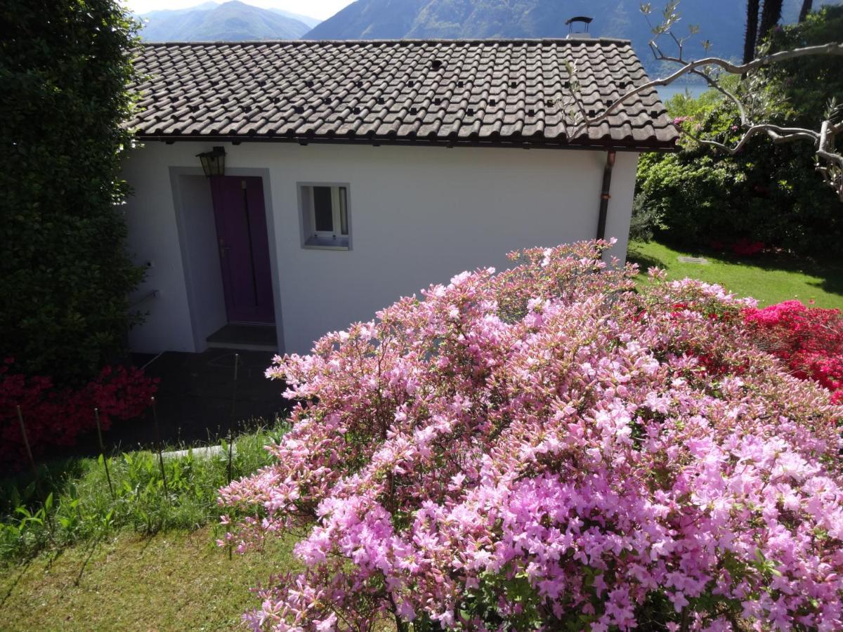 Minusio Residenza Paradiso Di Vacanze מראה חיצוני תמונה