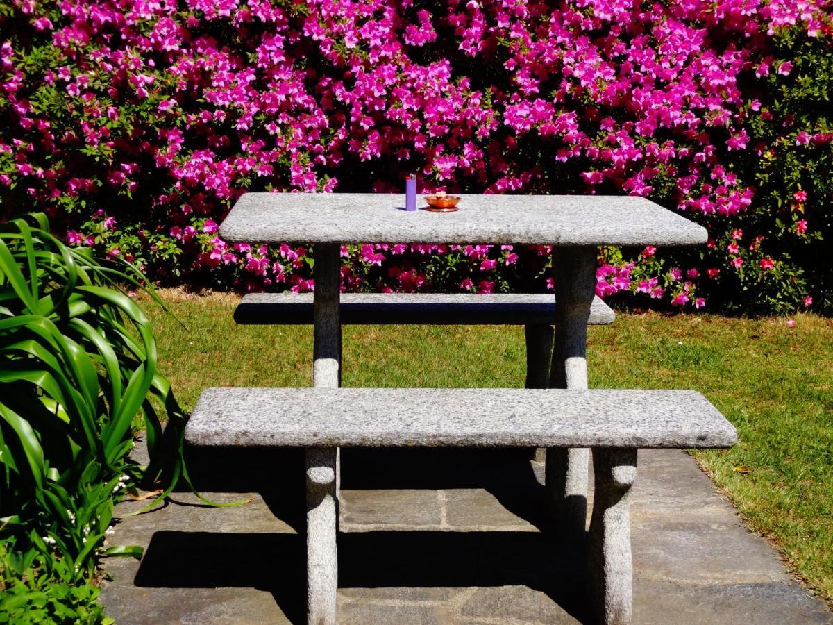 Minusio Residenza Paradiso Di Vacanze מראה חיצוני תמונה