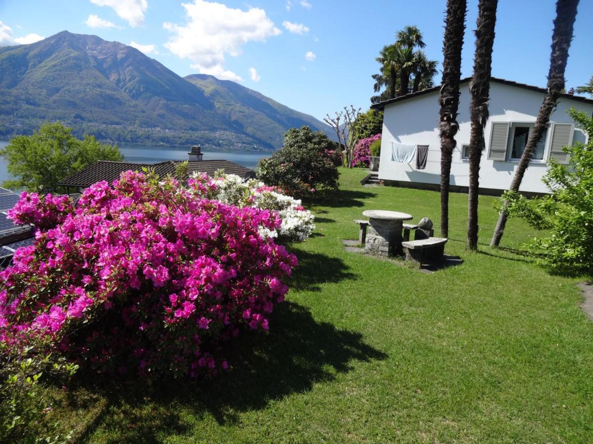 Minusio Residenza Paradiso Di Vacanze מראה חיצוני תמונה