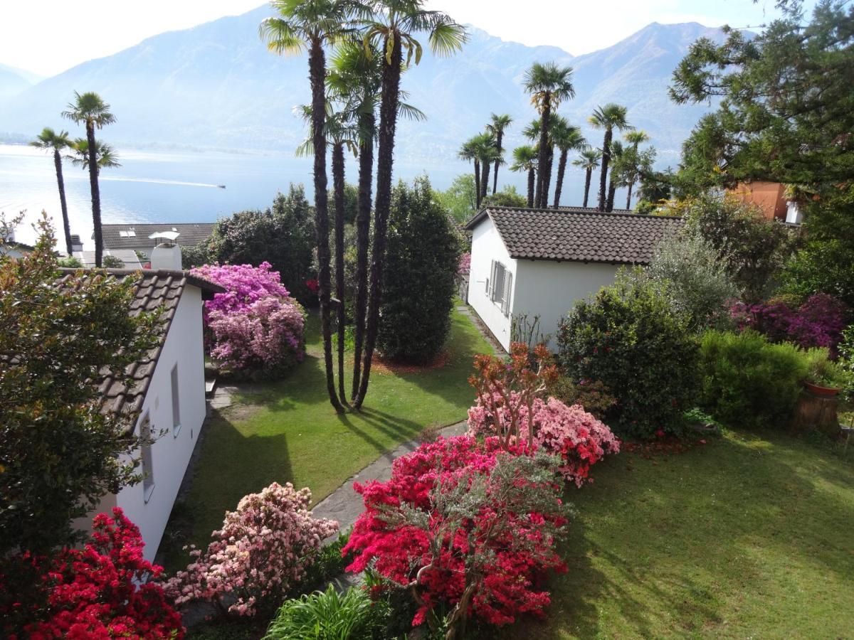 Minusio Residenza Paradiso Di Vacanze מראה חיצוני תמונה